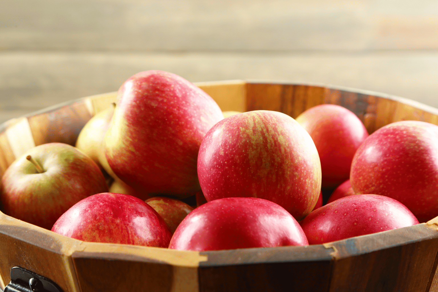 Apple Wholesale Suppliers in India (11)