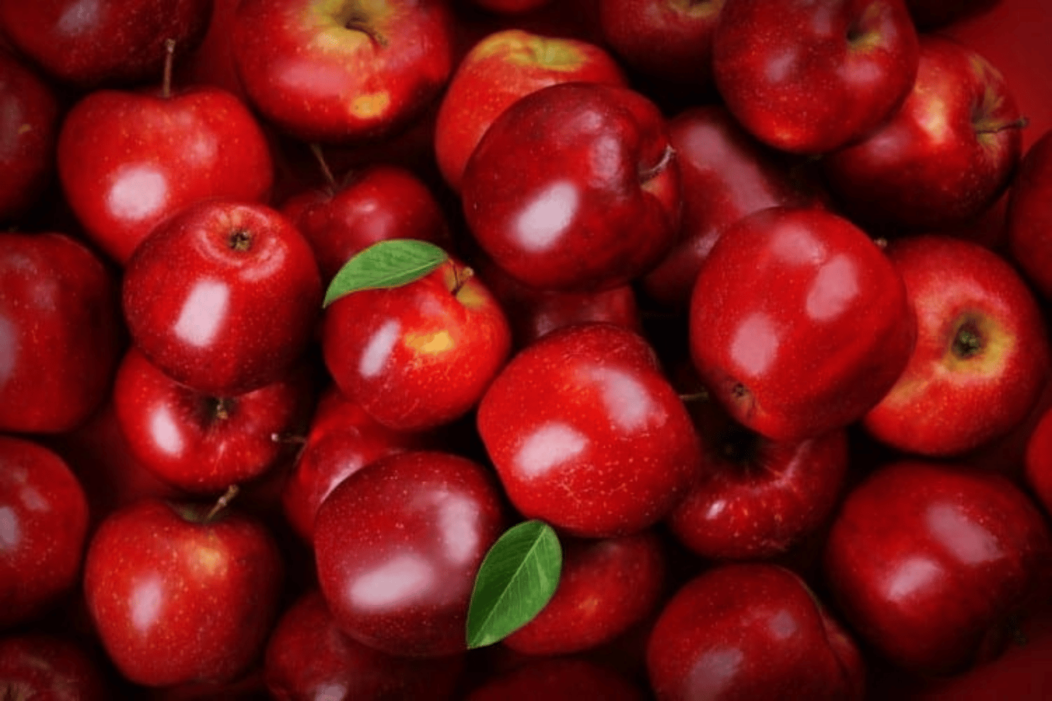 Apple Wholesale Suppliers in India (4)