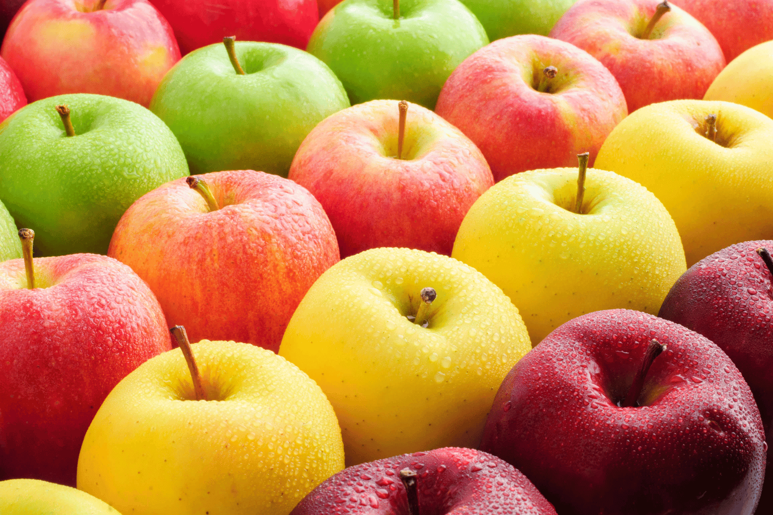 Apple Wholesale Suppliers in India (8)
