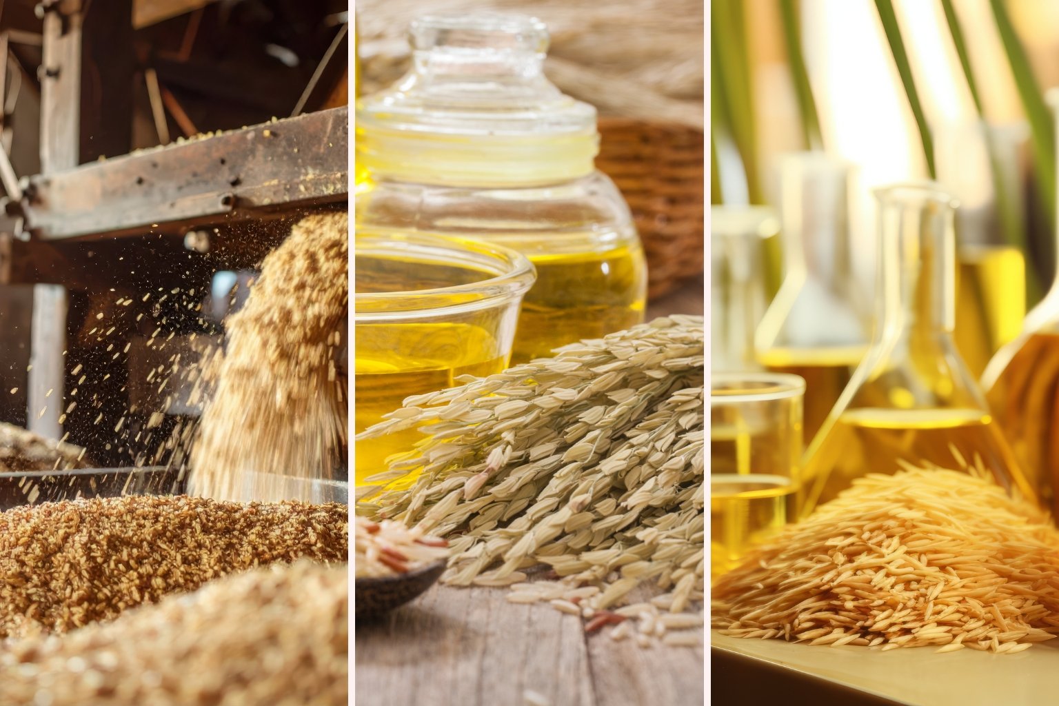 Rice Bran Oil Manufacturers and Suppliers in India