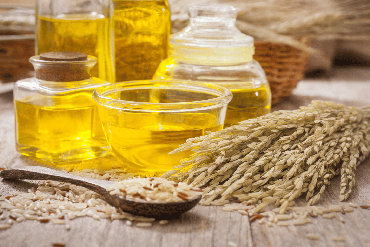 Rice Bran Oil Suppliers in India
