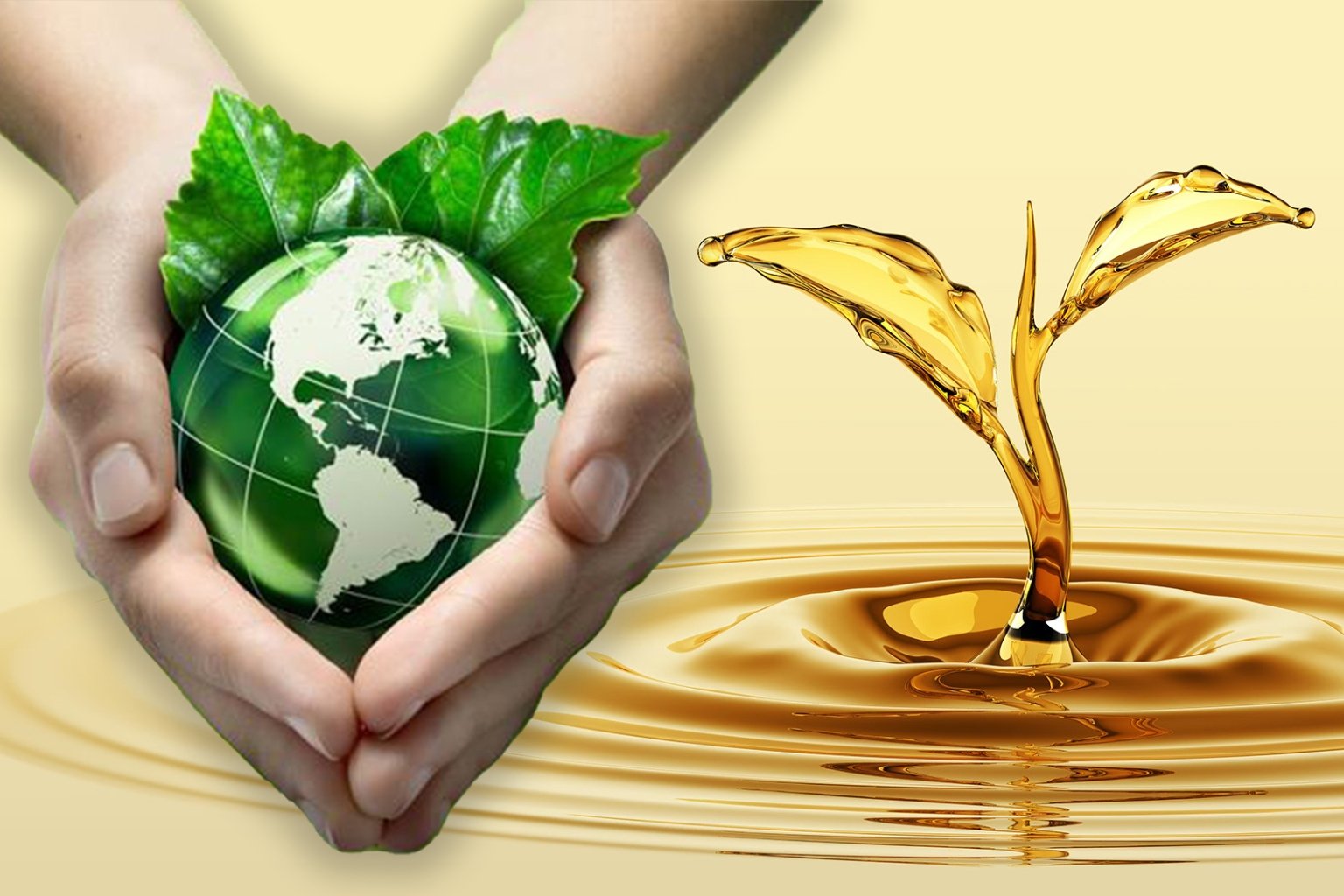 biodiesel manufacturers in india
